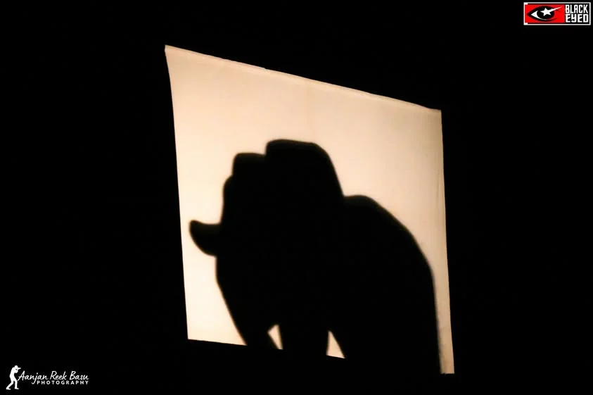 Amar Sen - The Shadow Artist Live at BKTPP, Bakreswar — event photograph 3