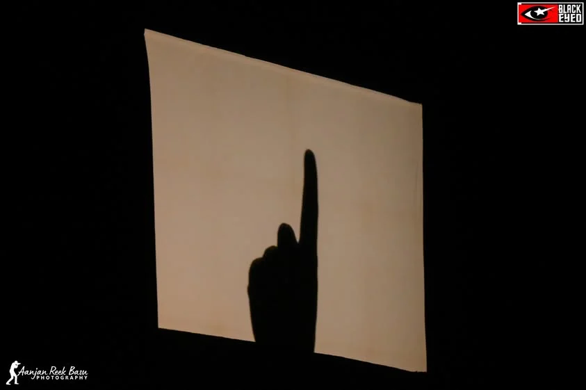 Amar Sen - The Shadow Artist Live at BKTPP, Bakreswar — event photograph 8